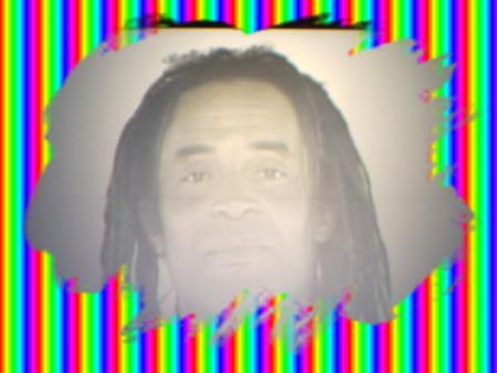 Le 8 janvier 2008 : Yannick Noah en concert Saint Etienne 