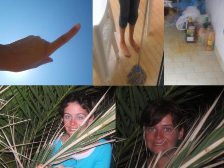 D�lires ... y'a un An